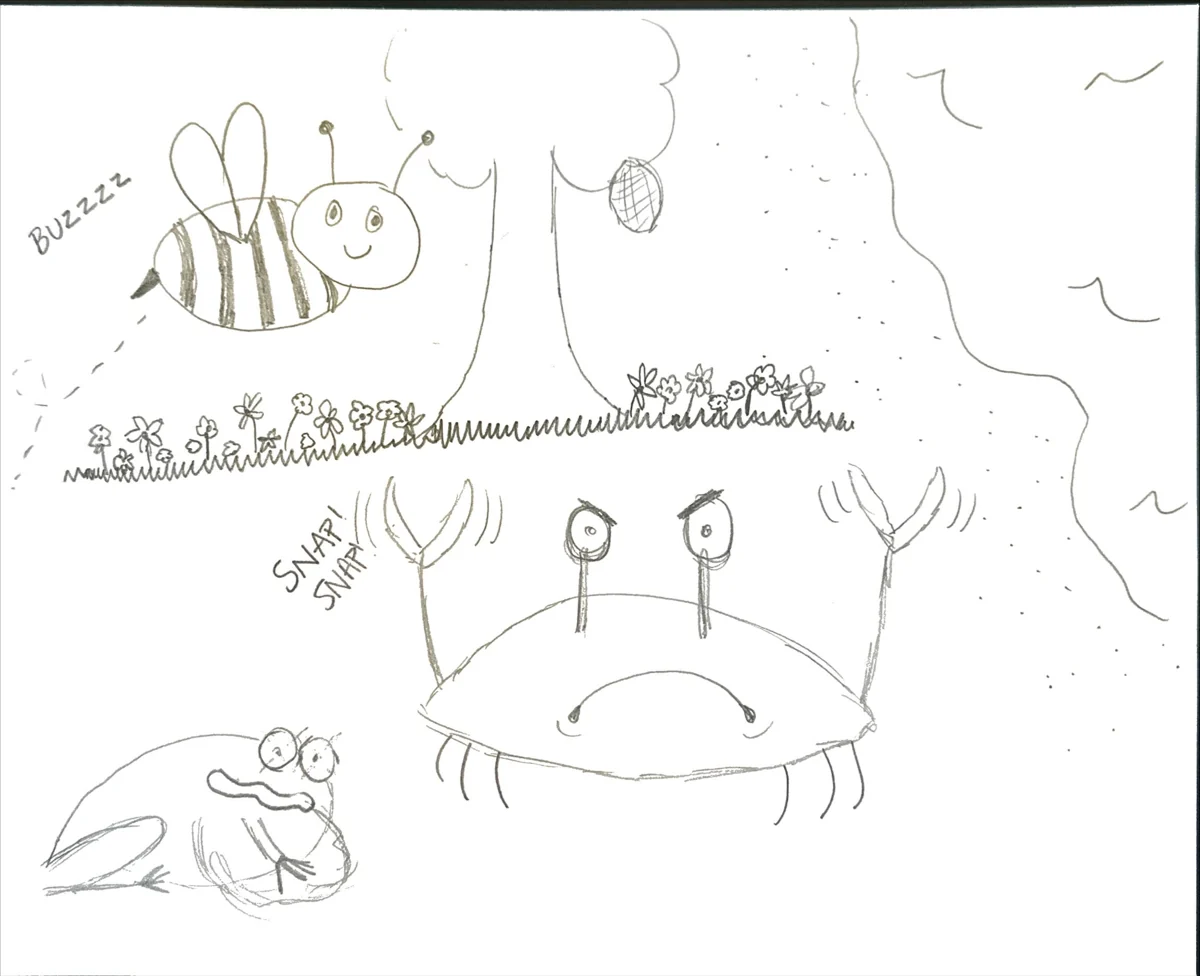 The family’s original pencil sketches of a bee, a toad and a wide-eyed crab.